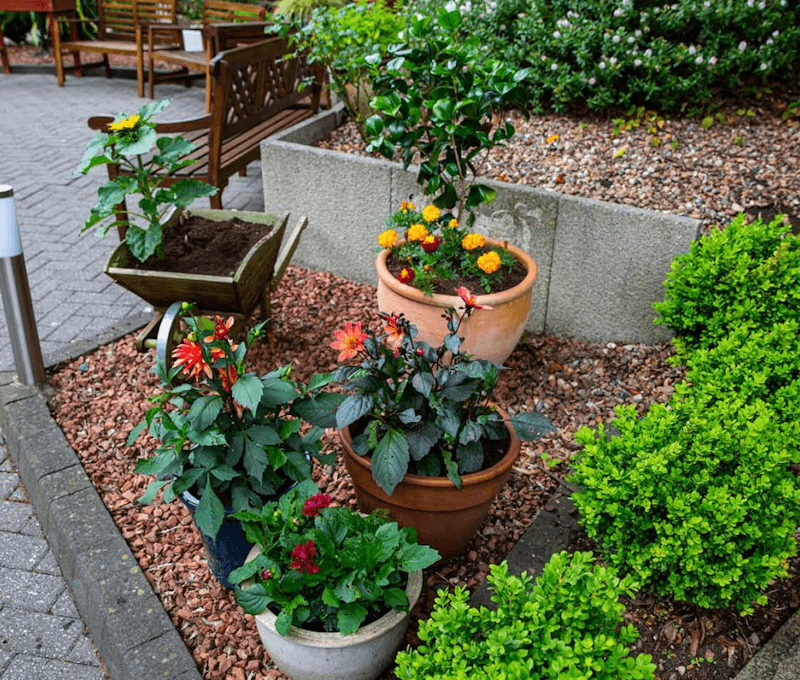 care home garden