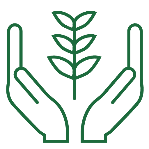 24 hour live in care from Twelve Trees Care