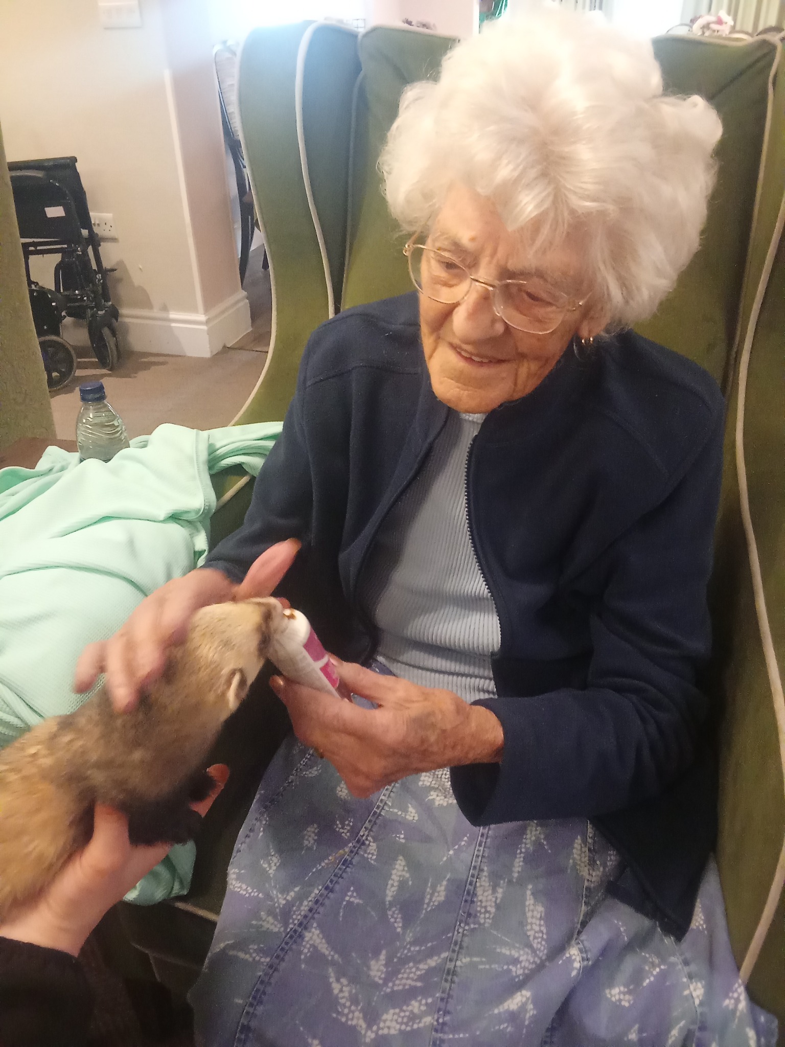 Meadowbrook resident feeding a ferret during educational animal visit