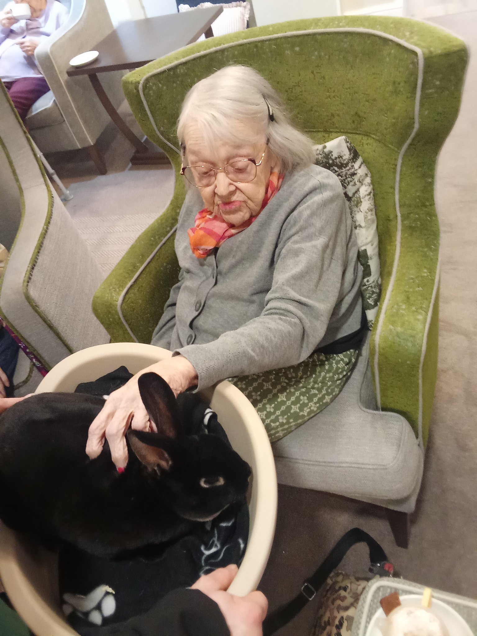 Meadowbrook resident gently stroking a rabbit during animal therapy session