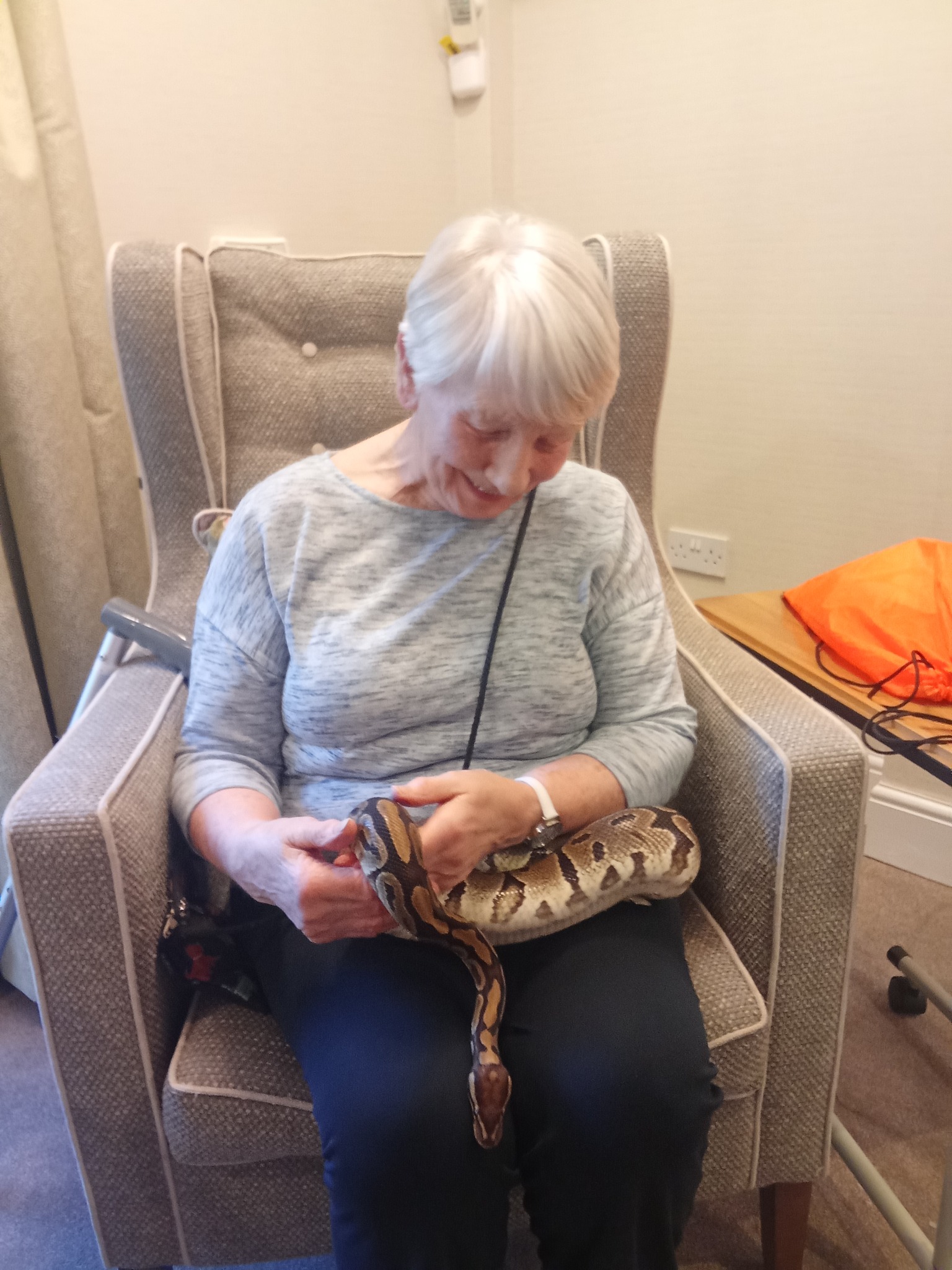 Meadowbrook resident examining snake during animal therapy visit