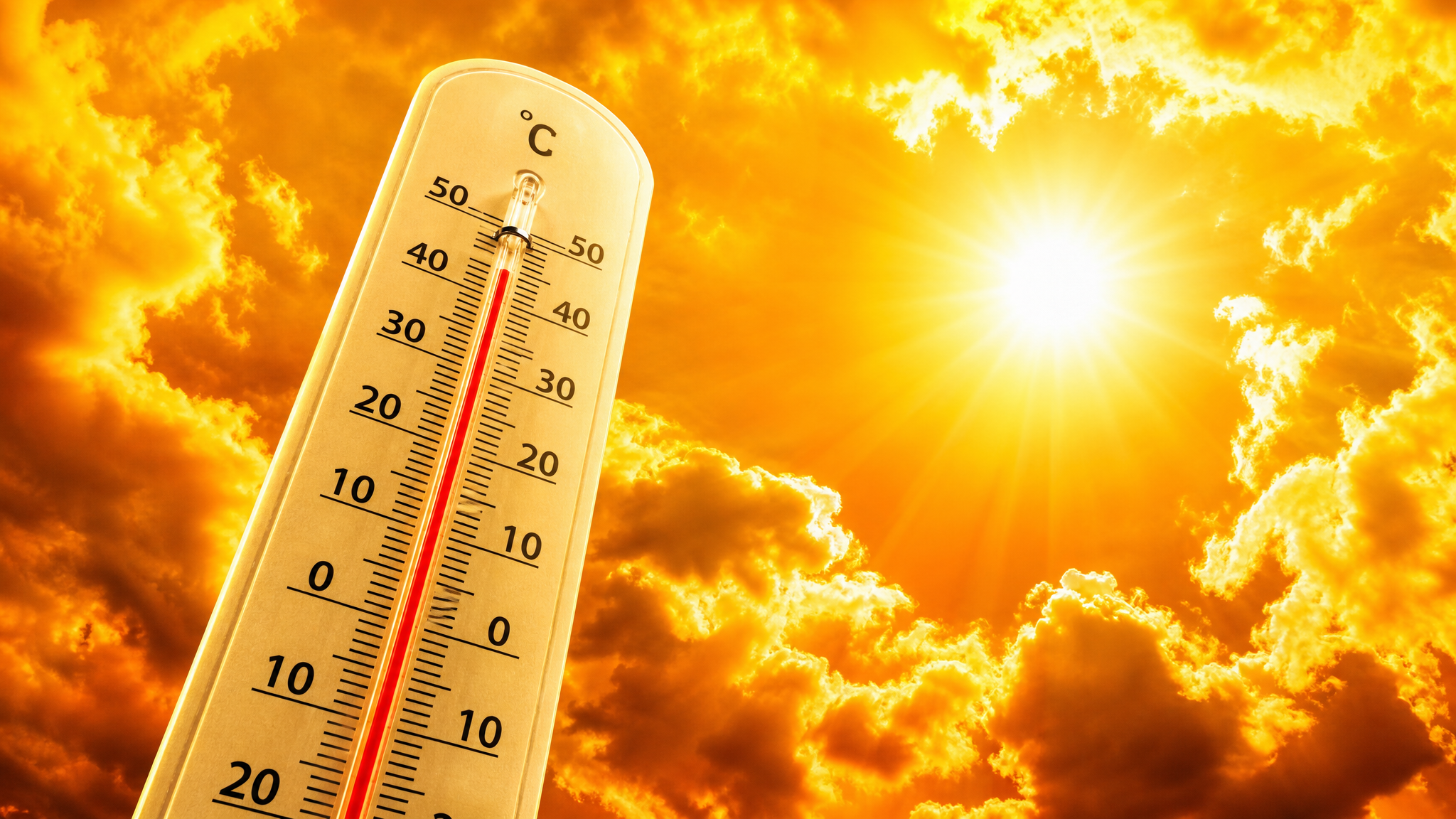 Keeping cool and comfortable during the summer heat