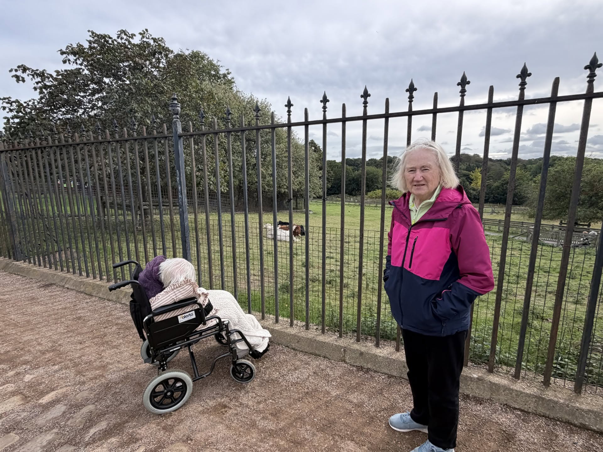 Twelve Trees group visiting the animals at Temple Newsam